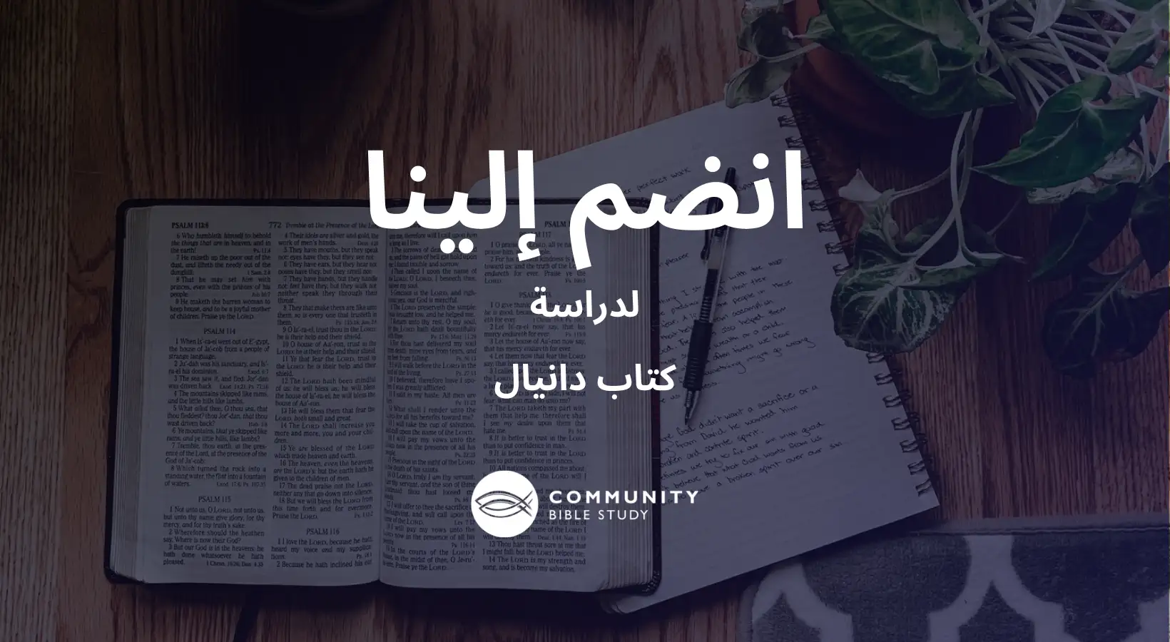دانيال
