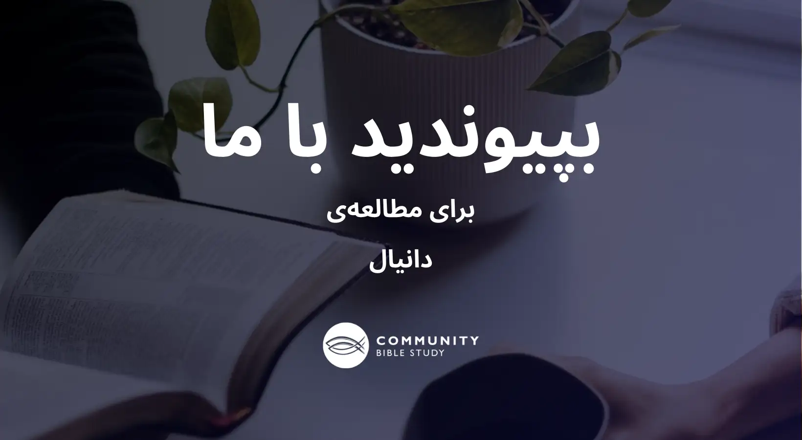 دانیال نبی