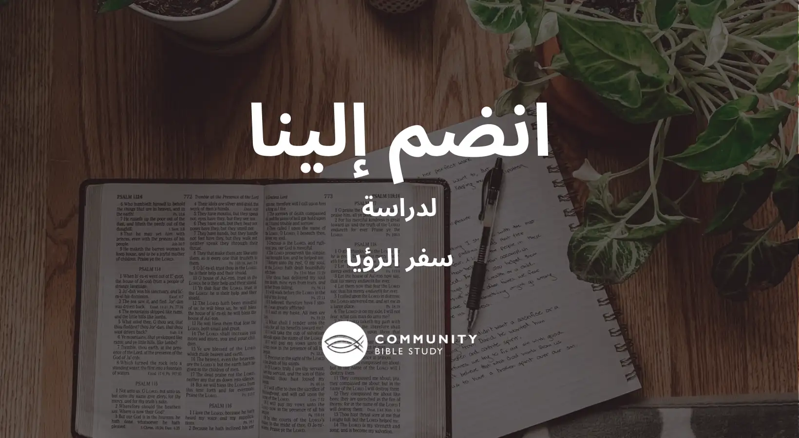 سفر الرؤيا